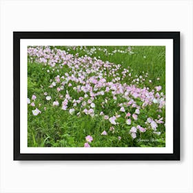 Pink Wildflowers In A Field - Photography Art Print