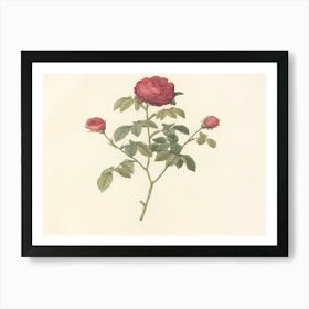 Roses On A Branch 5 Art Print