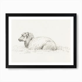 Lying Sheep (1816), Jean Bernard Art Print