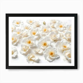 White Rose Petals Scattered On White Background Art Print