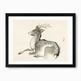 Asian Deer Art Print