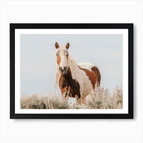 Sagebrush Horse Art Print