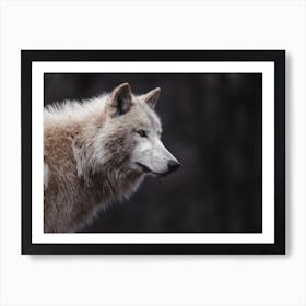 Beige Wolf Profile Art Print