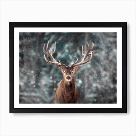 Stag In The Snow Art Print