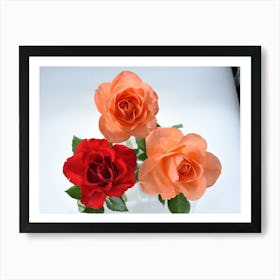 three roses Art Print