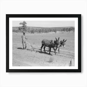 Jack Whinery Plowing With Burros And Homemade Plow, Pie Town, New Mexico By Russell Lee 1 Art Print