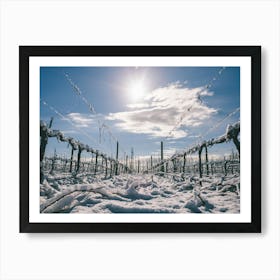 Unitltled 15 - Snow in the Vineyard Series Art Print