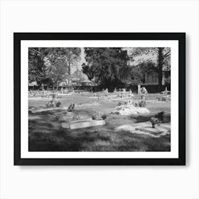 Untitled Photo, Possibly Related To Decorated Graves In Cemetery On All Saints Day At New Roads, Louisiana By Art Print
