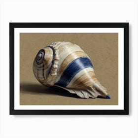 Seashell Hamptons style Art Print