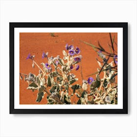 Purple Flowers In The Outback Art Print