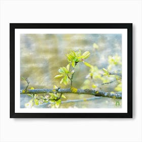 Spring Blossoms 20220402 249rt1ppub Art Print