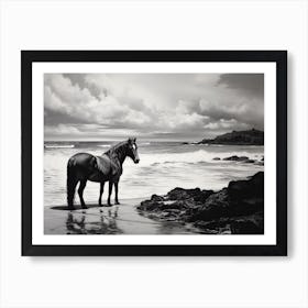 A Horse Oil Painting In Kaanapali Beach Hawaii, Usa, Landscape 4 Art Print