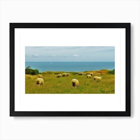 Sheep And The Sea Poster