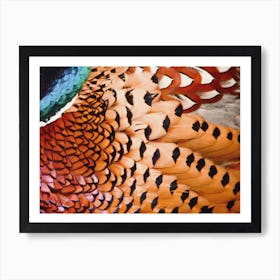 Pheasant Feathers Art Print