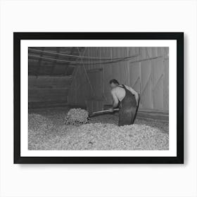 Green Hops Are Spread Thirty Two Inches Deep In The Drying Room Of Kiln, Yakima County, Washington By Russell Lee Poster