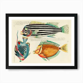 Colourful And Surreal Illustrations Of Fishes Found In Moluccas (Indonesia) And The East Indies, Louis Renard(86) Art Print