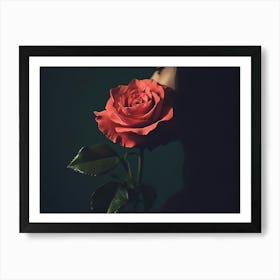 Woman Holding A Rose Art Print