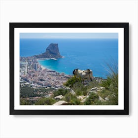 Male mountain goat looks at the Mediterranean coast in Calpe Art Print