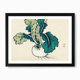 Turnip Art Print