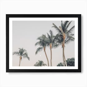 Pastel Palm Tree Sunset Art Print