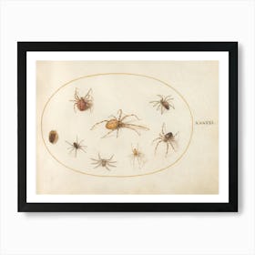 Seven Spiders And An Insect (c. 1575-1580), Joris Hoefnagel Art Print