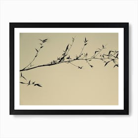 Shadow Of Tree In Sepia Color As Japanese Painting Lookalike Art Print