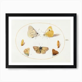 Black Veined White, Clouded Yellow, Black Hairstreak And Geranium Argus Butterflies With Two Chrysalides (1575–1580), Joris Hoefnagel Art Print