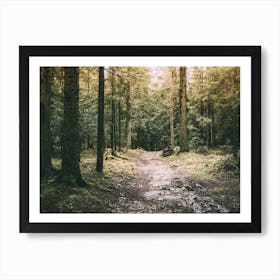 Mysterious Forest Path Art Print