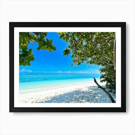 Relax Ocean Plant Idylli Holiday Coastline Beautiful Calm Shore Blue Paradise Sunlight N (14) Art Print