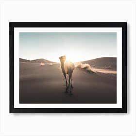 Landscapes Raw 20 Camel (Morocco) Art Print