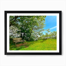 Bench On The Hill Art Print