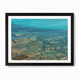 Swimming in clear, turquoise blue sea water Art Print