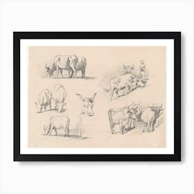 Studies Of Cattle, John Singer Sargent Art Print