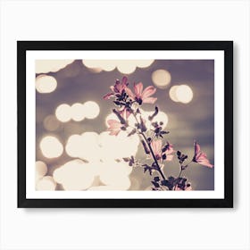 Gentle Violet in Sun Rays Art Print