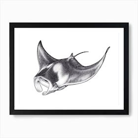 Giant Manta Ray Art Print