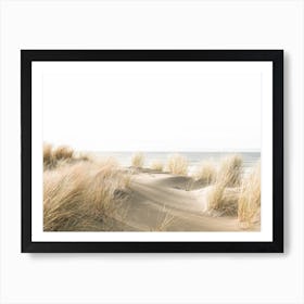 Sand Dune Grasses Art Print