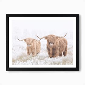 Two Highland Cows Art Print