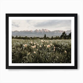 Teton Valley Flowers Art Print