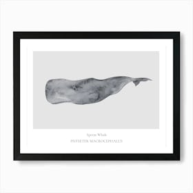 Sperm Whale Art Print