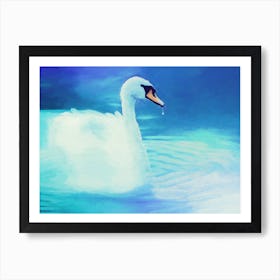 Swan In Water 1 Art Print