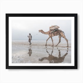 Camel Reflection On The Salt Lake Art Print