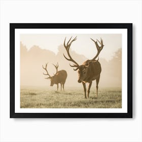 Deer In Morning Fog Art Print