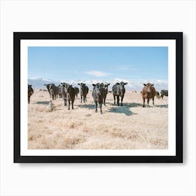 Lone Pine Cattle Art Print