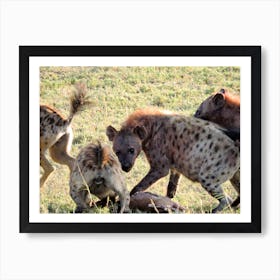 Fresh Hyenas Kill On The Serengeti, Tanzania (Africa Series) Art Print