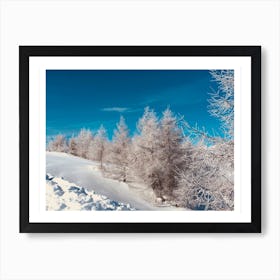 Snow And Trees Art Print