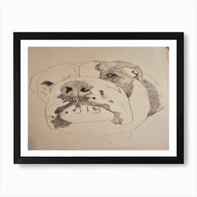 Clyde the Bulldog Art Print