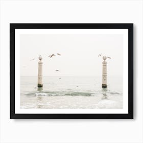 Bright Sea Seagulls Art Print