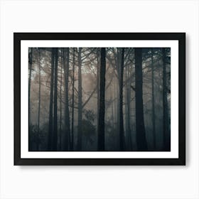 Dark Forest Art Print