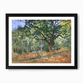 The Bodmer Oak, Fontainebleau Forest (1865), Claude Monet Art Print