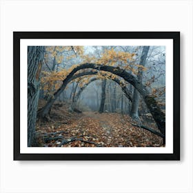 Arch In The Woods 1 Art Print